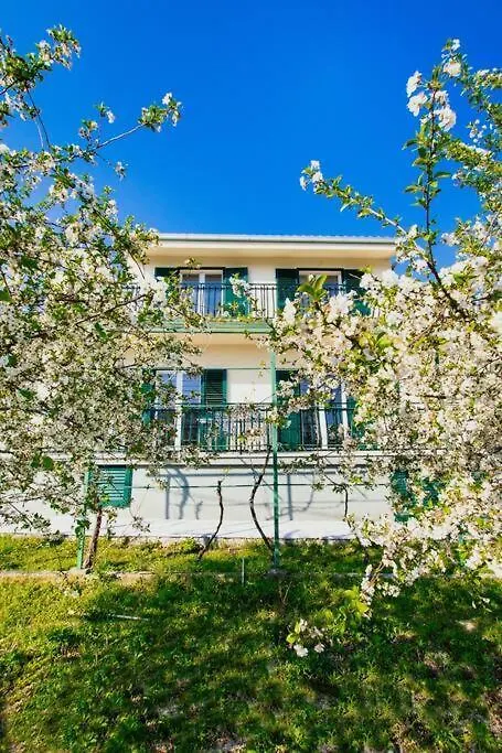 House Duje Villa Plano