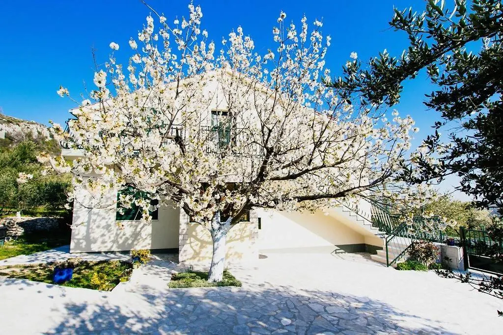 House Duje Villa Plano